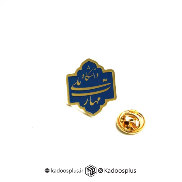 بج سینه دانشگاه ملی مهارت