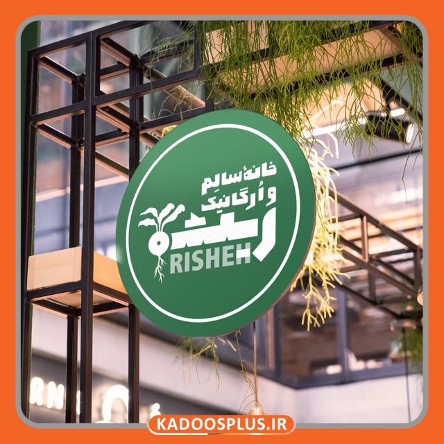 لوگو فروشگاه محصولات سالم و  ارگانیک ریشه