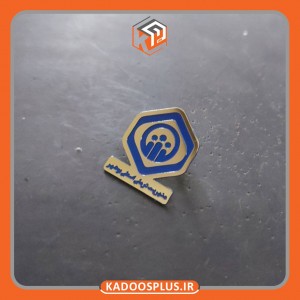 بج سینه مدیریت درمانی تامین اجتماعی استان بوشهر