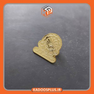 بج سینه دانشگاه صنعتی امیرکبیر