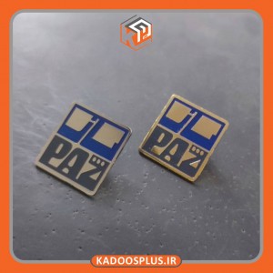 بج سینه شرکت پاز