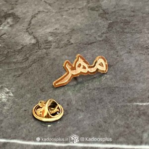 بج سینه کلینیک دامپزشکی مهر