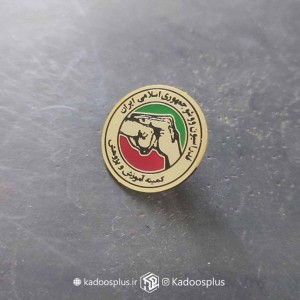 بج سینه فدراسیون ووشو