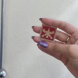 بج سینه درفش شهباز