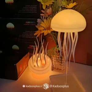 چراغ خواب عروس دریایی