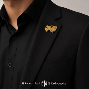 بج سینه نقشه ایران هخامنشی