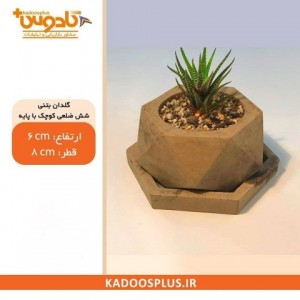 گلدان بتنی شش ضلعی کوچک