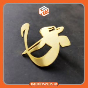 بج سینه اختصاصی
