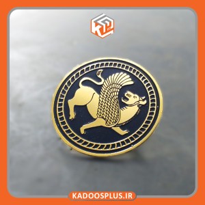 بج سینه اختصاصی