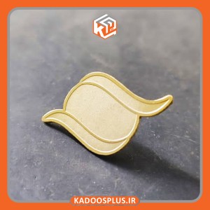 بج سینه سازمان منطقه آزاد انزلی