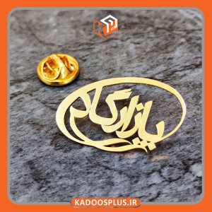 بج سینه پازارگاد