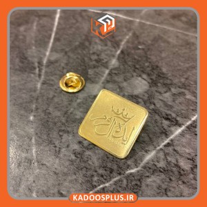 بج سینه ایده آل فرم