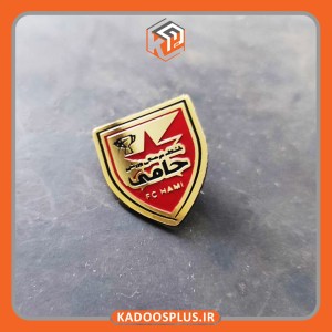 بج سینه باشگاه فرهنگی ورزشی حامی