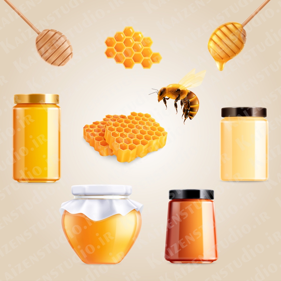 پک تصویرسازی وکتور مدل عسل Real Honey