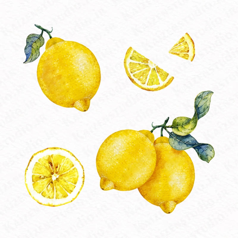 طرح وکتور لایه باز تصویرسازی مدل لیمو Lemon