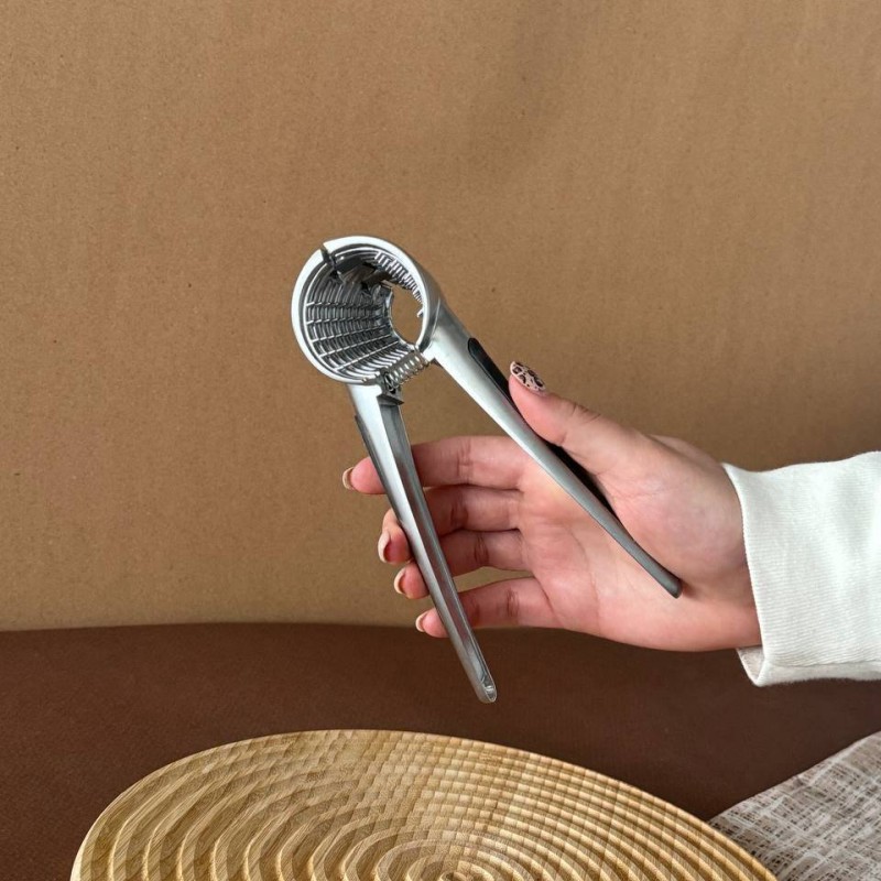 گردوشکن شنگیا