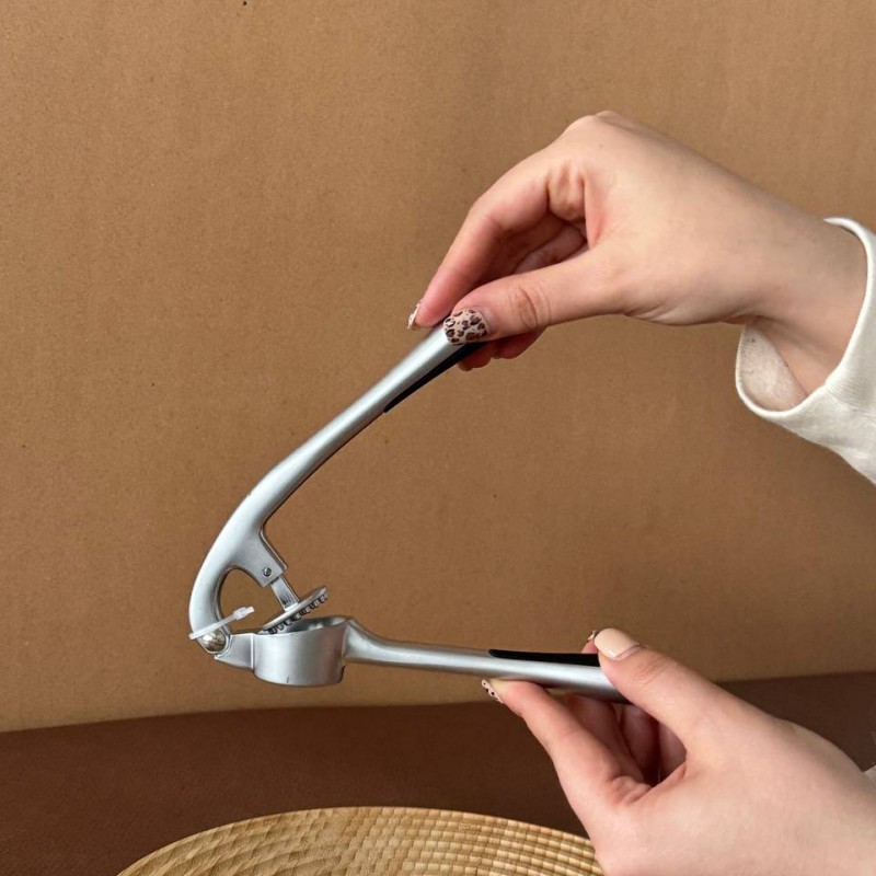 سیر له کن شنگیا