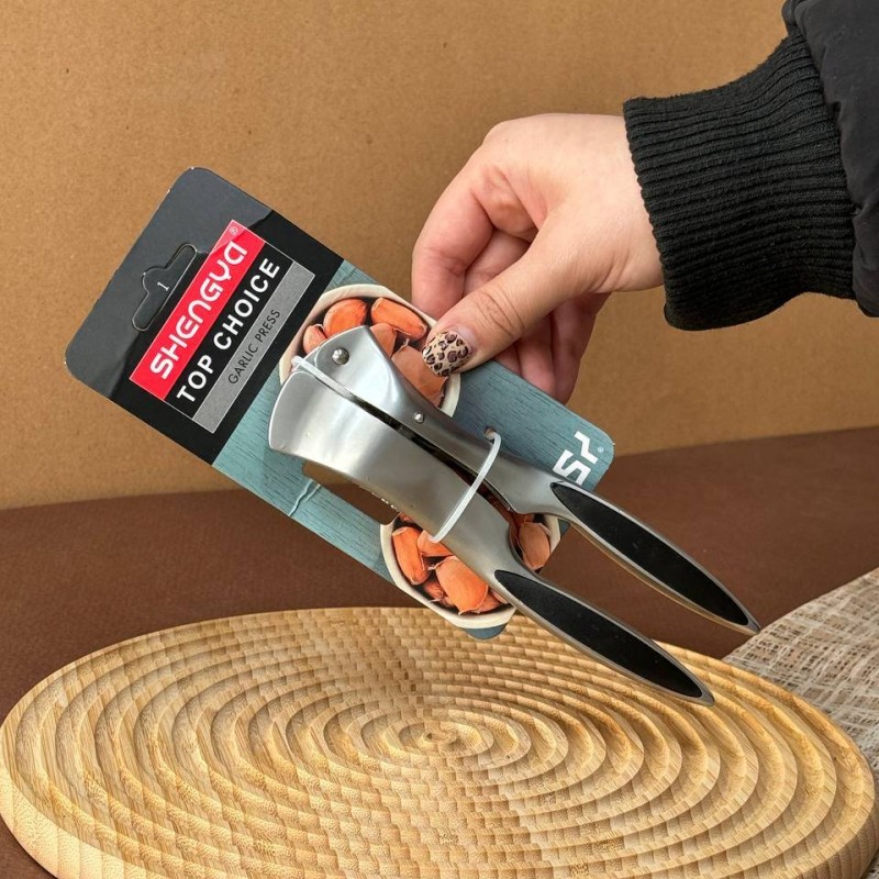 سیر له کن شنگیا