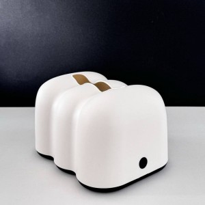 جا دستمال کاغذی