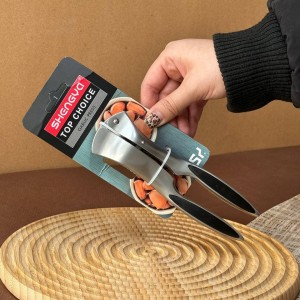 سیر له کن شنگیا