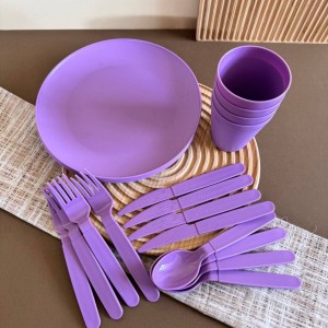 ظروف مسافرتی پلاستیکی 4نفره 20 پارچه