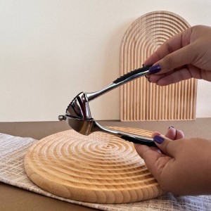 سیر له کن استیل انبری شنگیا