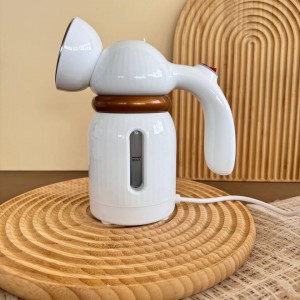 اتوبخار مدل MDHL_ 2102