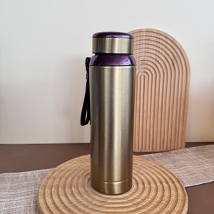 فلاسک 800 میلی لیتر استیل رنگی