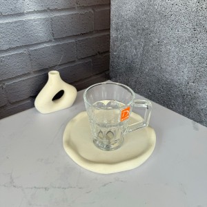 ست شش عددی لیوان کازابلانکا پاشا باغچه دلی گلس