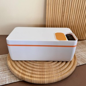 ظرف غذای کلاسیک