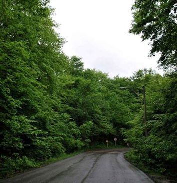 پارک جنگلی النگدره؛یک تجربه متفاوت از ایرانگردی