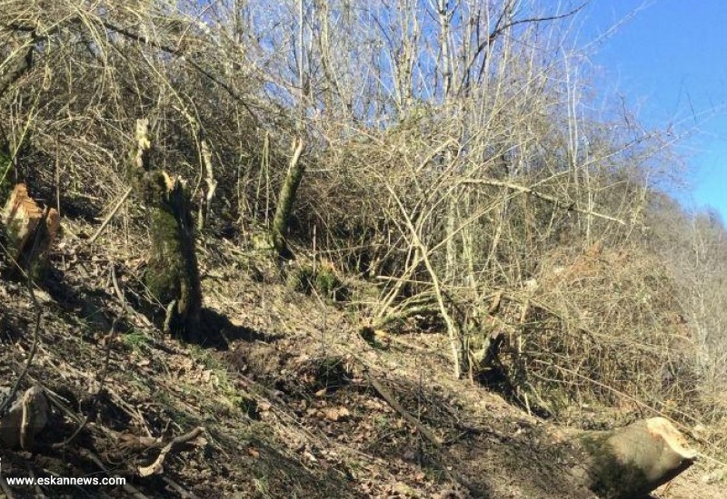 جنگل های هیرکانی همچنان قربانی ساخت وساز در "زیارت" گرگان  منبع خبر : سایت خبری شعار سال  https://shoaresal.ir/fa/news/269716/جنگل-های-هیرکانی-همچنان-قربانی-ساخت-وساز-در-زیارت-گرگان