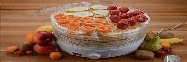 میوه خشک کن