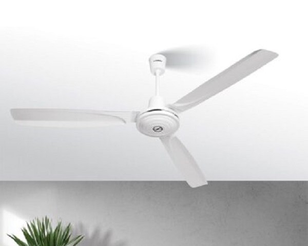 پنکه سقفی 100 وات- موتور وارداتی فالمینگو