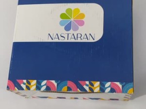 نعلبکی چینی نسترن