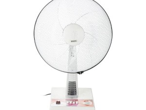 پنکه رومیزی چراغ دار DORNIKA