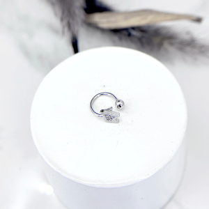 ایرکاف نقره ستاره