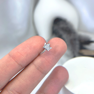 نمای روبه رو ایرکاف نقره تاج