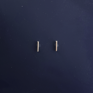 گوشواره میله ظریف