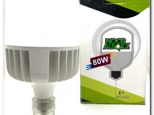 لامپ 80 وات LED نور البرز