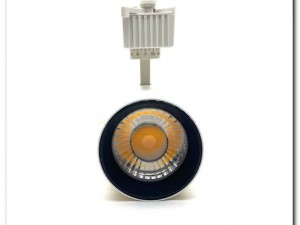 چراغ ریلی ریلایت 30 وات پارس شعاع (COB )