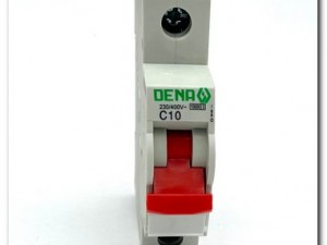 مینیاتوری 10 آمپر دنا