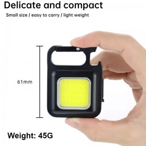 چراغ قوه جیبی مدل LED Keychain Light