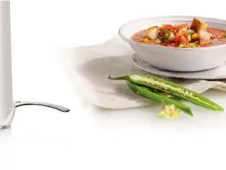 خردکن بوش مدل MMR08R2