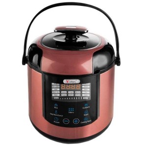 زودپز ویداس مدل VIR-5410