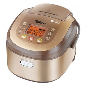 پلوپز سام مدل RC-2200