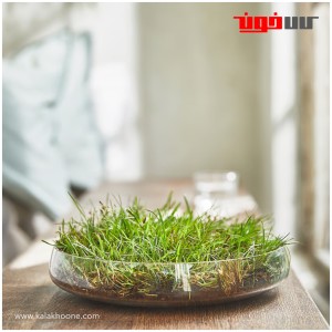 شمع معطر ایکیا مدل HEDERSAM