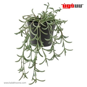 گیاه مصنوعی ایکیا مدل FEJKA