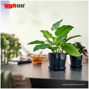 گیاه مصنوعی کالاتیا ایکیا مدل FEJKA