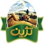 تژین